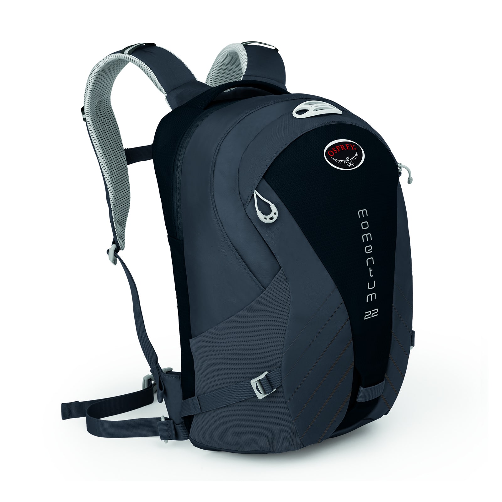 Osprey momentum on sale