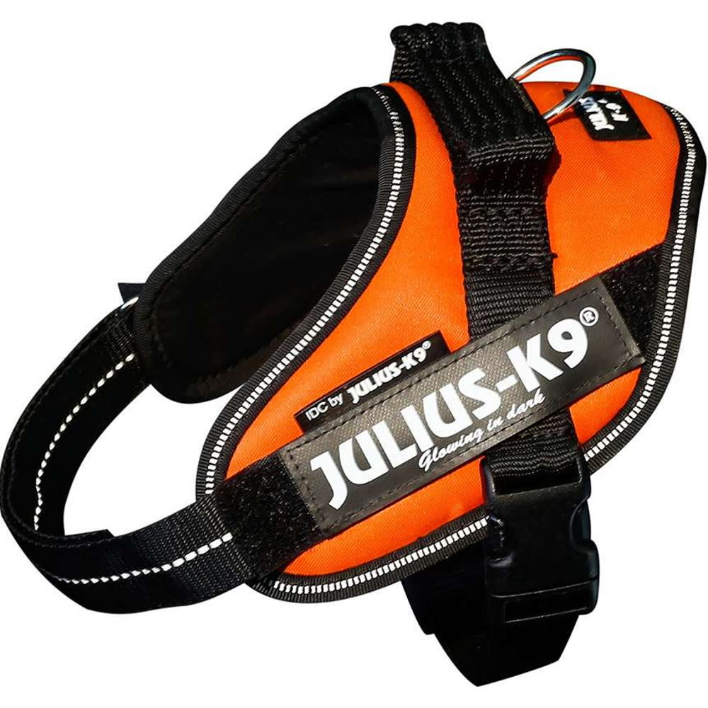 julius k9 idc harness