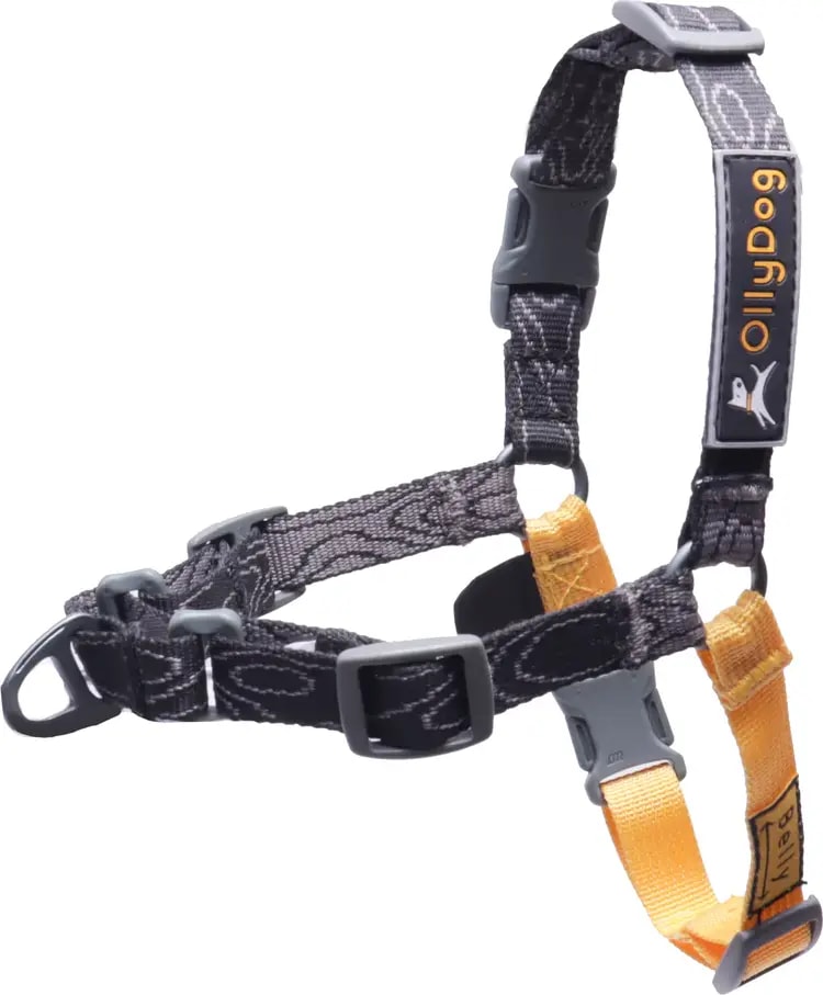 OllyDog Essential Harness Outnorth