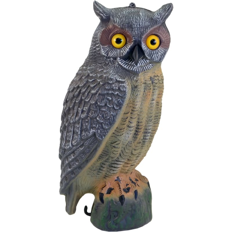 Grey Oak Great Horned Owl Grey