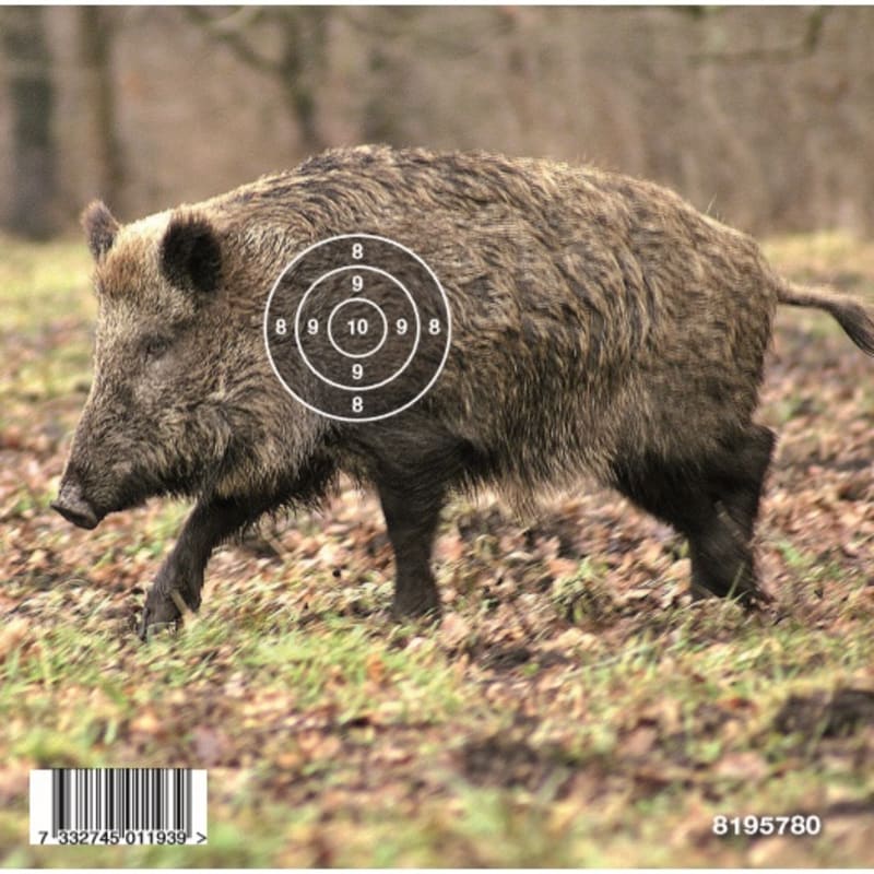 Target Airgun Boar