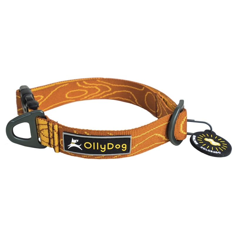 OllyDog Flagstaff Collar Blaze Bark