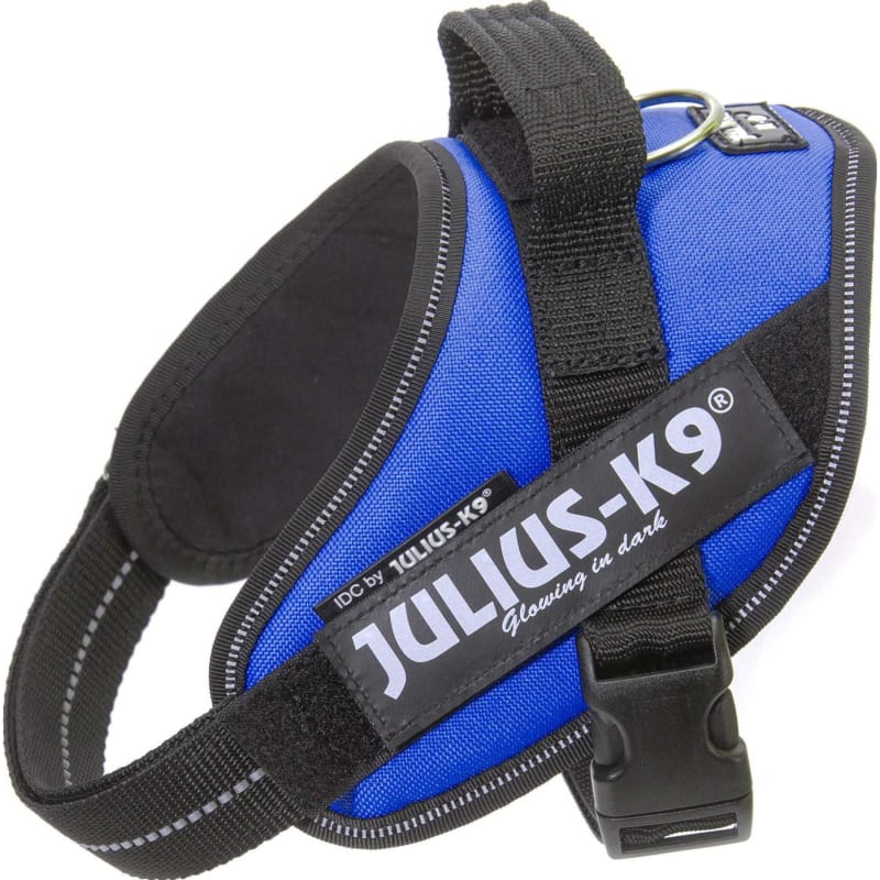 Julius-K9 Idc Harness Mini Blue