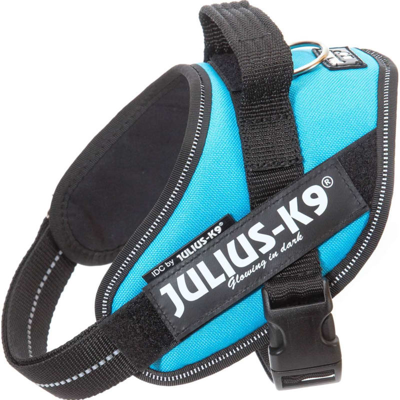 Julius-K9 Idc Harness Mini Aquamarine