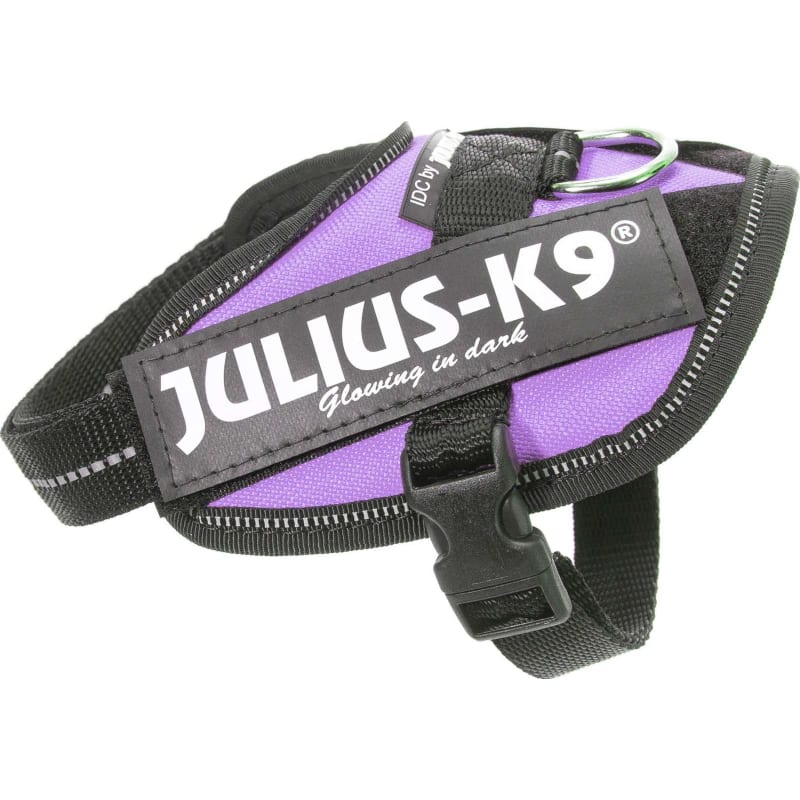 Julius-K9 Idc Harness Baby 2 Purple