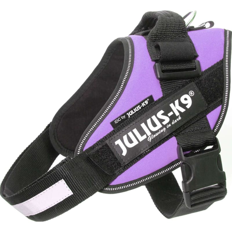 Julius-K9 Idc Harness Size 0 Purple