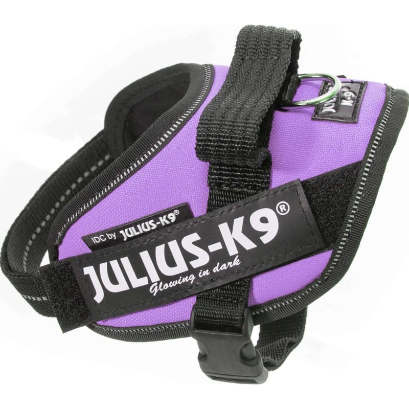 Julius-K9 Idc Harness Mini-Mini Purple
