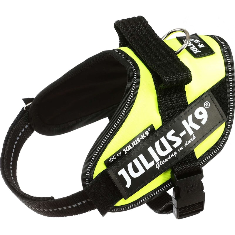 Julius-K9 Idc Harness UV Size 4