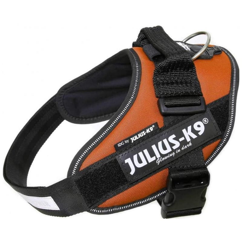 Julius-K9 Idc Harness Size 1-3 Koppar