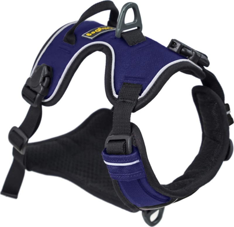 Alpine Reflective Harness