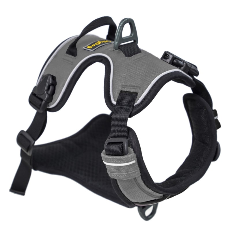 Alpine Reflective Harness