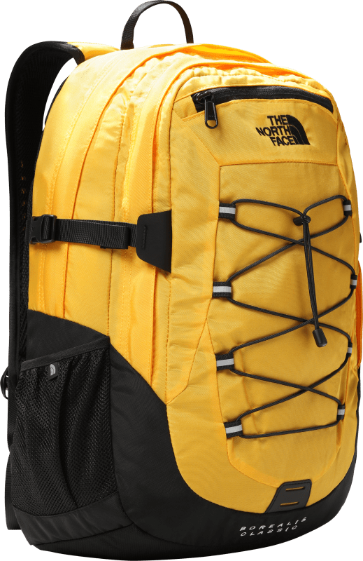 The North Face Borealis Classic