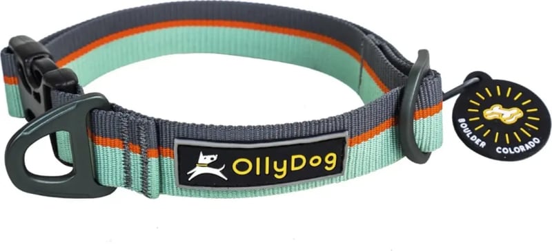OllyDog Flagstaff Collar