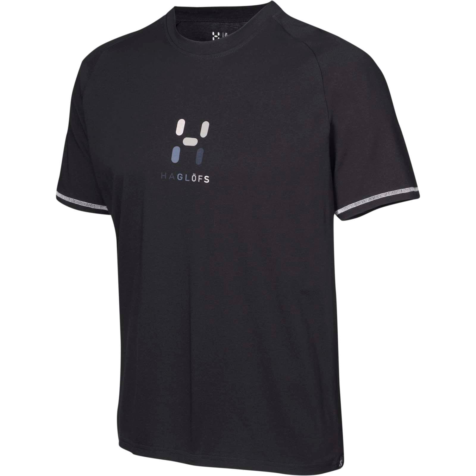 Köp Haglöfs APEX LOGO TEE hos Outnorth