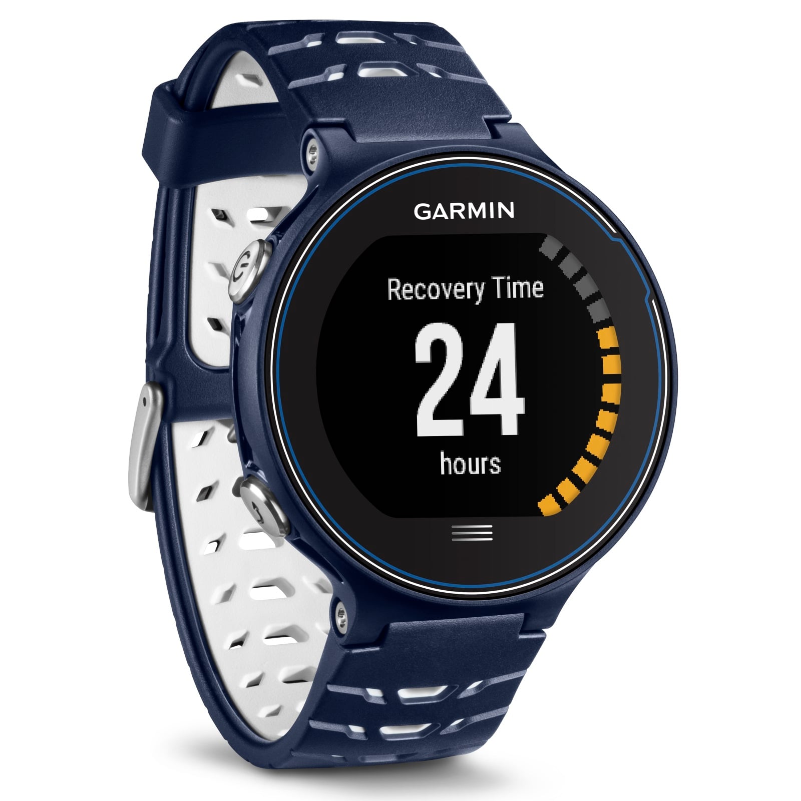 forerunner 495