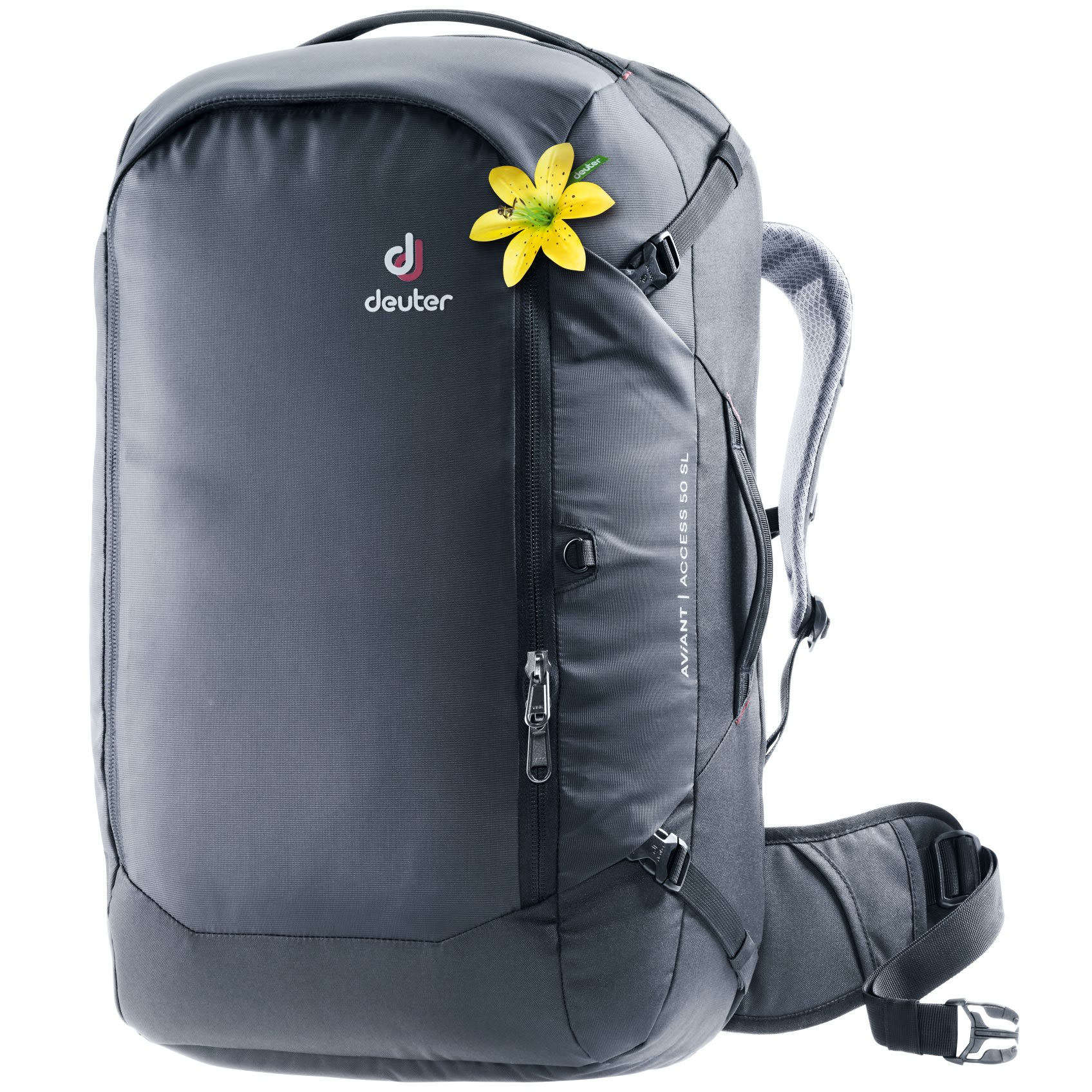 deuter aviant access