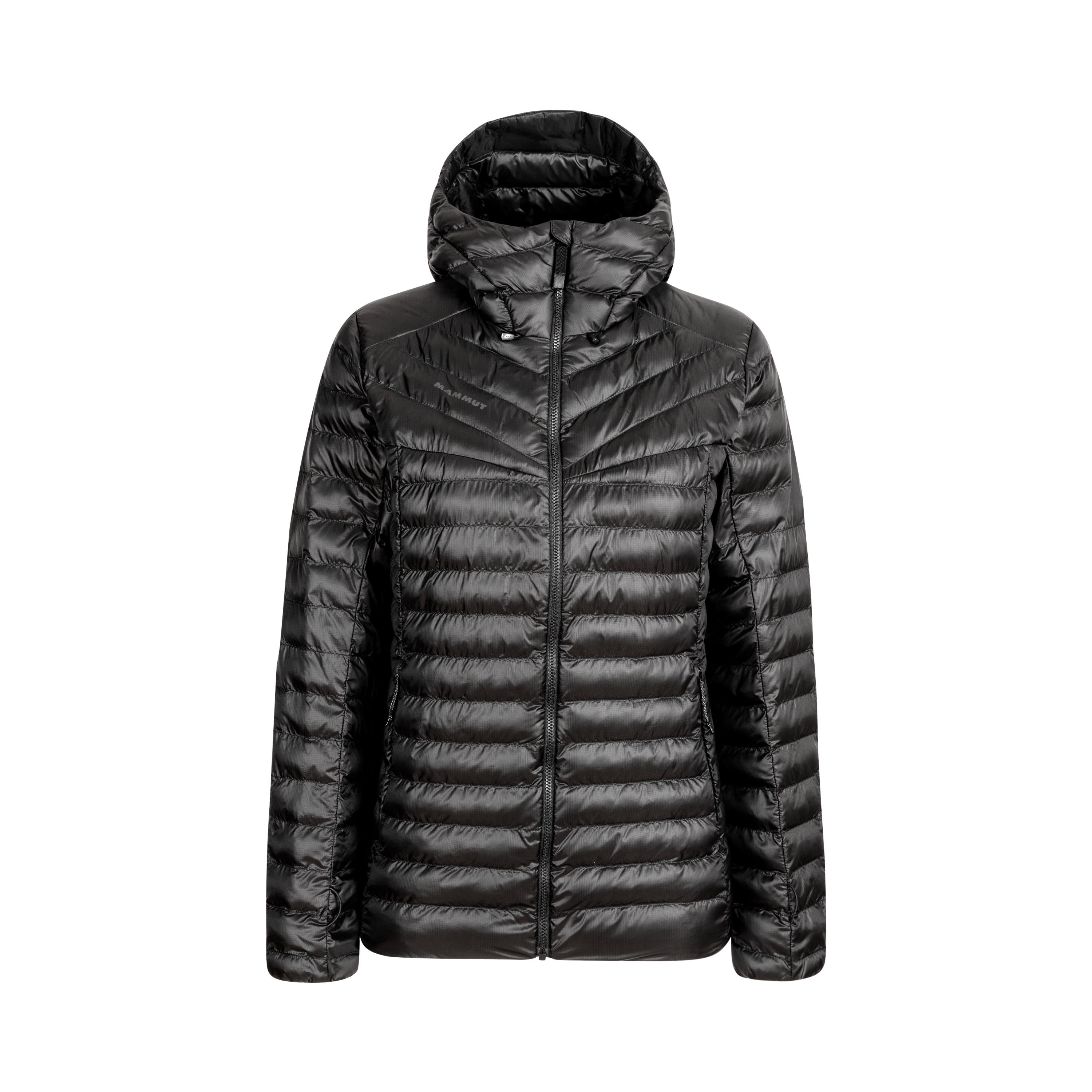 Mammut albula in clearance